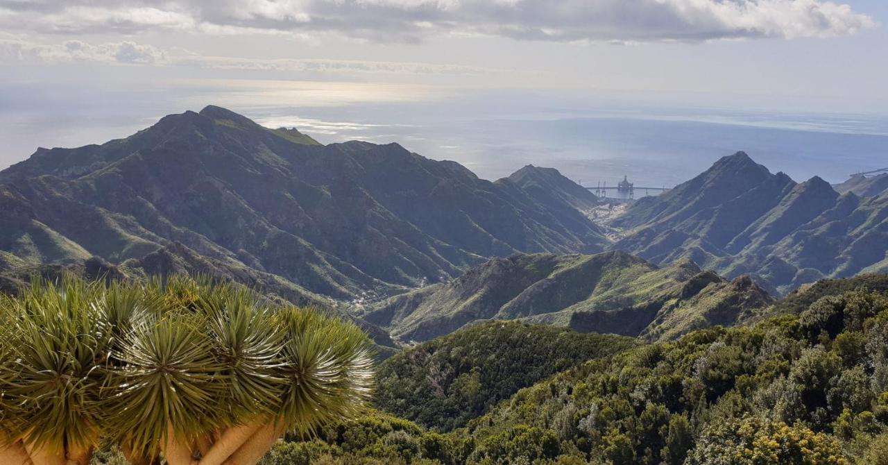 Santa Cruz De Tenerife Toscal المظهر الخارجي الصورة
