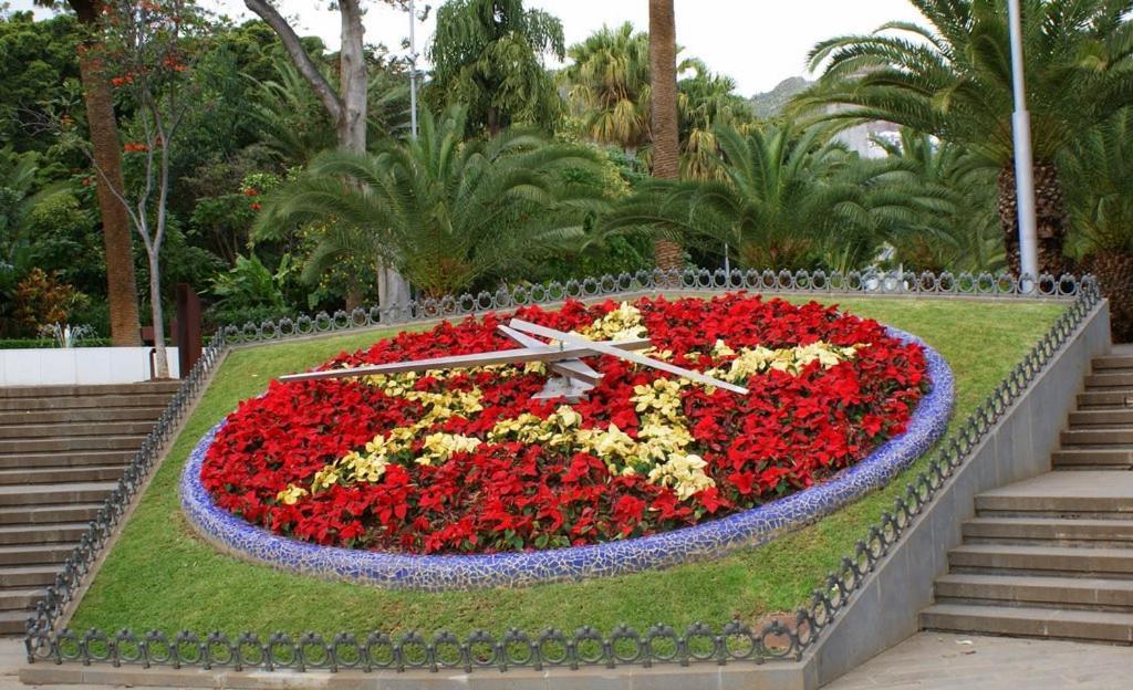 Santa Cruz De Tenerife Toscal المظهر الخارجي الصورة