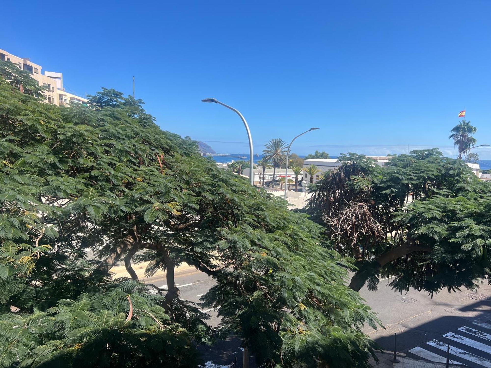 Santa Cruz De Tenerife Toscal المظهر الخارجي الصورة